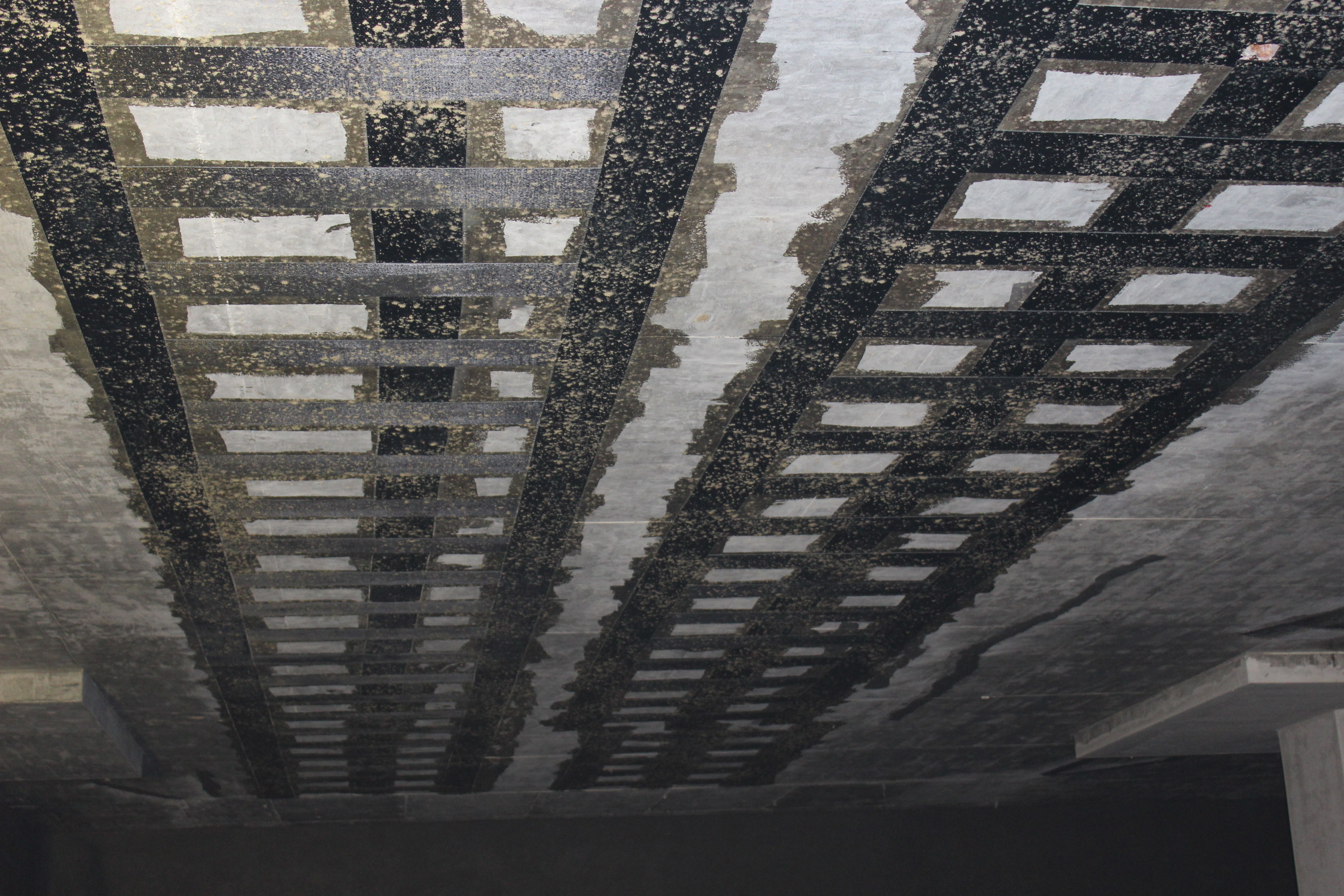 1572420569494471.jpg 1572420569494471.jpg